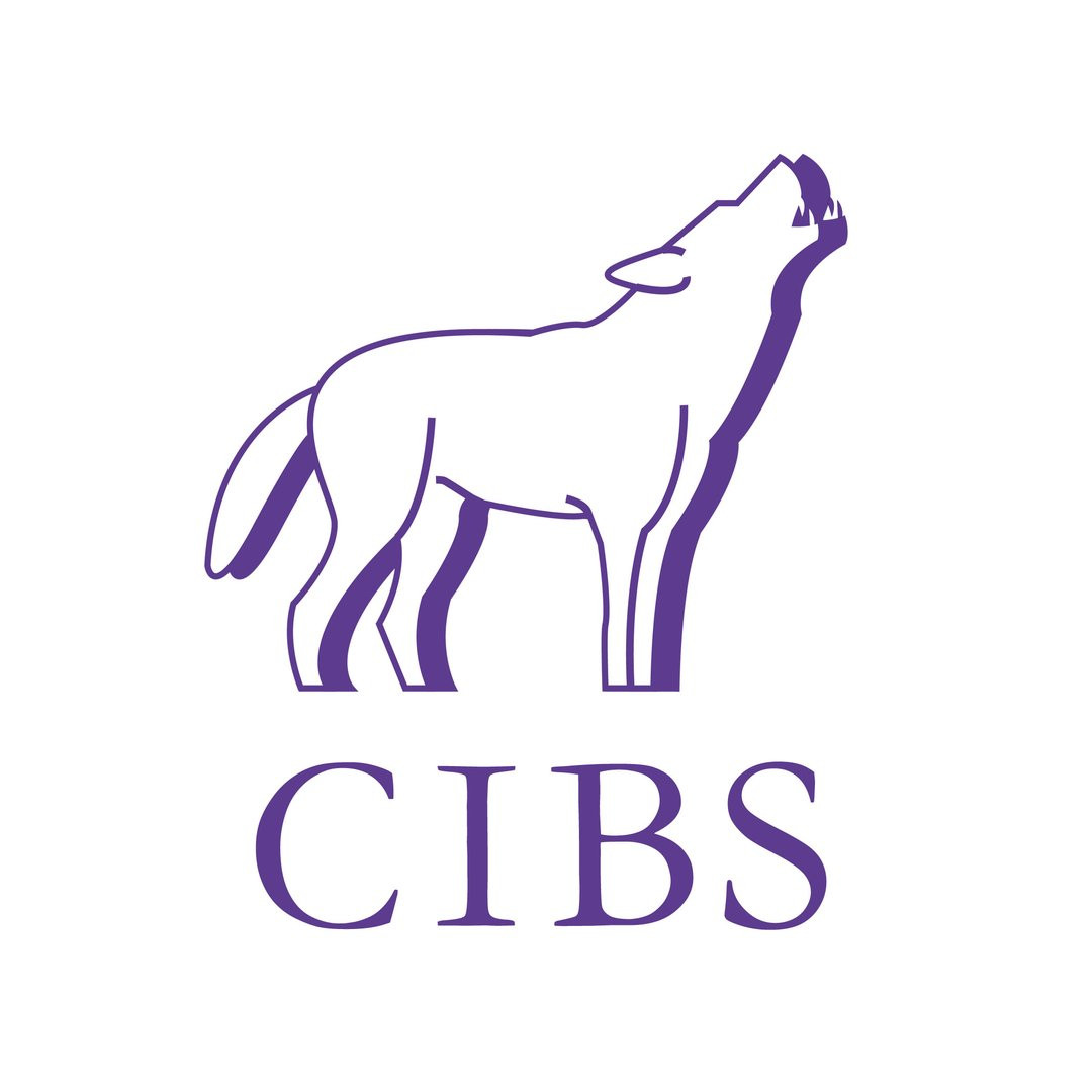 Cambridge Investment Banking Society