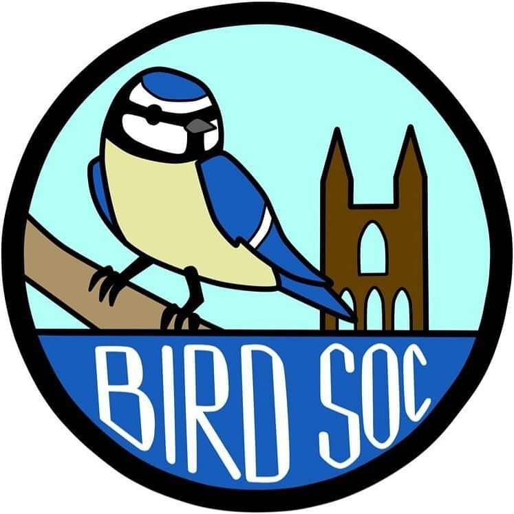 St Andrews Bird SOC 🐦