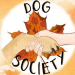 University of York Dog Society 🐶
