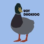 University of York Duck Society