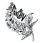 Foxgluv