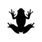 MADFROG